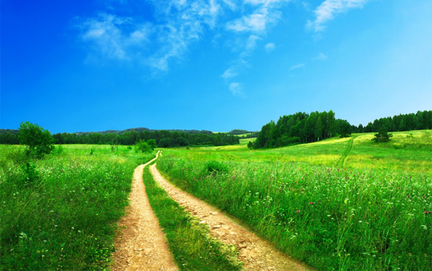 serenity of green & tranquility of blue sky
