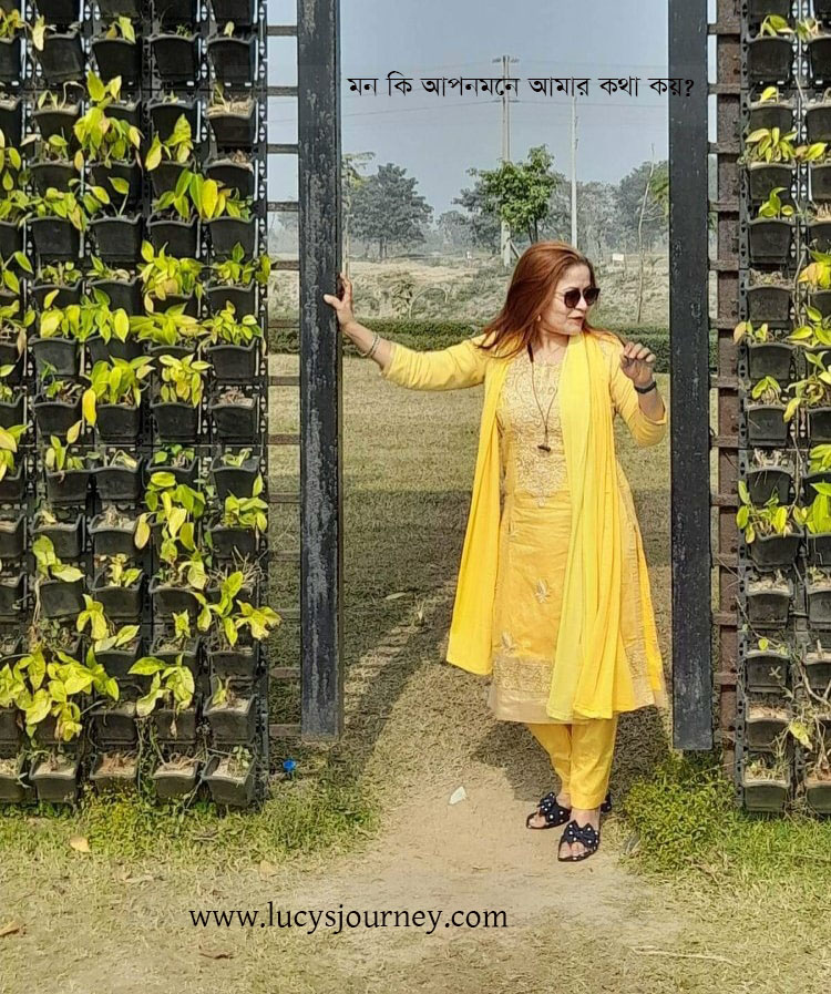 মন কি আপনমনে আমার কথা কয়?