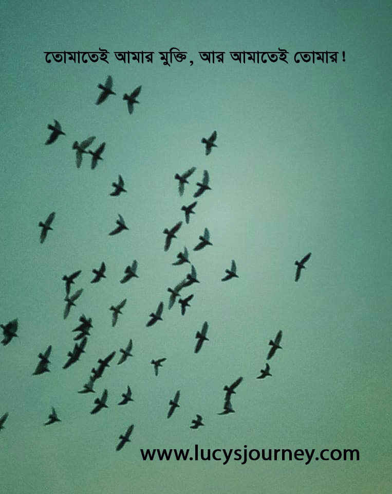 পার্থিবতার শৃঙ্খলে মুক্তি